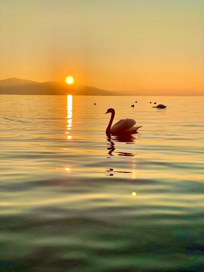 Apartment Adoris Im Lotzbeckpark Am Nachhaltiges Wohnen In Lindau *